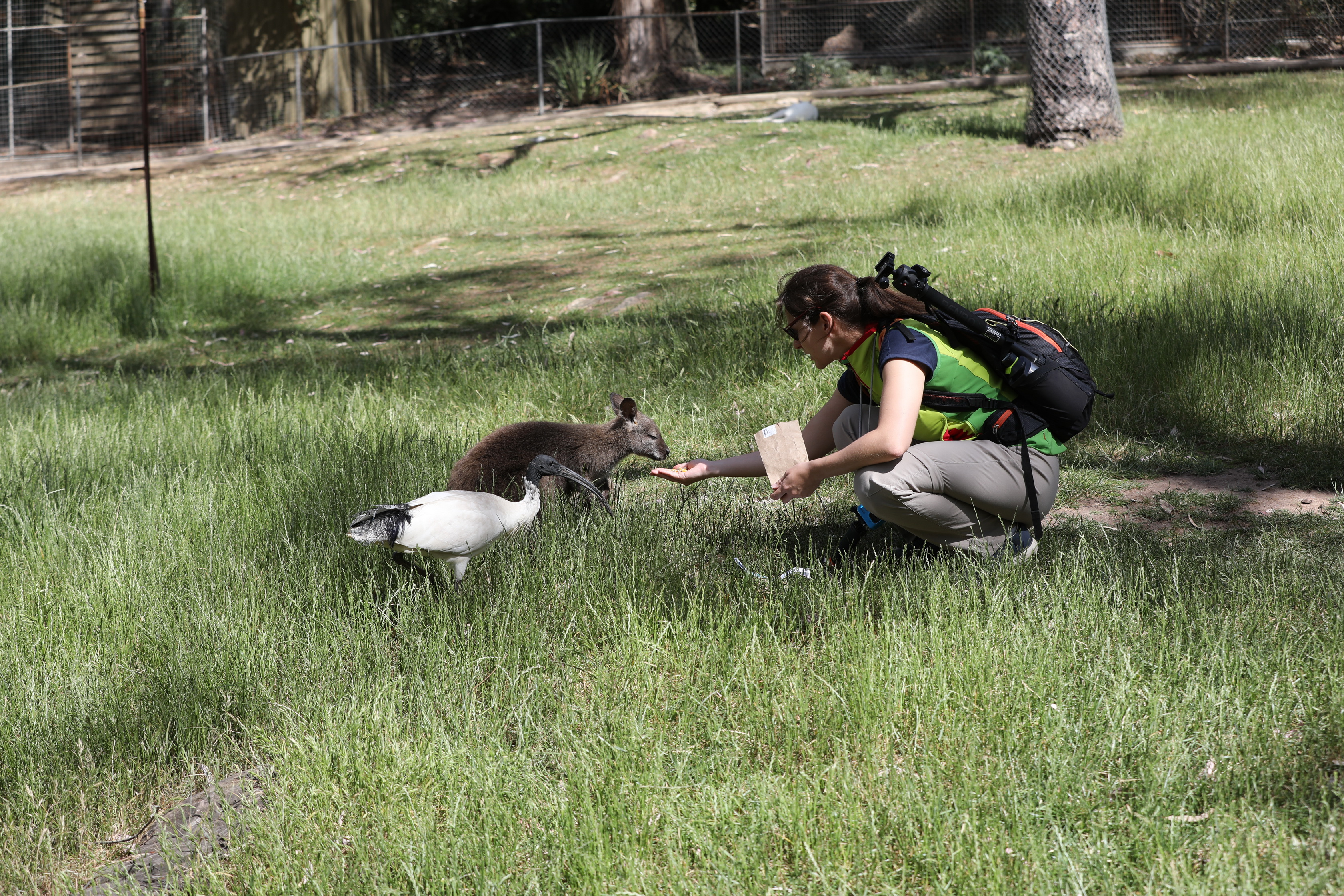 2019 11 22 16 10 30 Canon EOS 5D Mark IV 0025